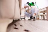 Almuplaza DDD combate las plagas con su servicio de fumigacin de cucarachas en Madrid