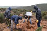 CO2 Gesti�n, FOXY y la Fundaci�n Alcoraz inauguran en Salamanca la plantaci�n de su 11o bosque