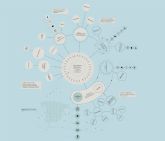 Navegando Arquitecturas de Mujer (NAM), premio COACM a la Difusi�n de la Arquitectura