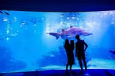 Palma Aquarium lanza 'Som de la Mar' con una fiesta ben�fica por el D�a de las Islas Baleares