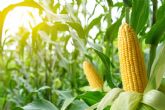 Aret� - The Agri Food Intelligence Company analiza el impacto de los nuevos aranceles estadounidenses