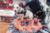 Barnacopy ofrece placas personalizadas para mascotas al instante en Barcelona