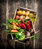 Vender m�s y mejor en canales cortos de comercializaci�n gracias al Kit Digital