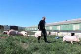 De la granja a la mesa; la producci�n de carne de cerdo ecol�gico