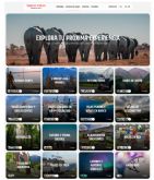 Tourist Forum presenta su nueva web: ms tecnologa y mejor experiencia para los viajeros