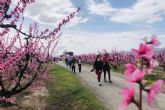 Rutas y talleres florales para disfrutar de la primavera en el Bajo/Baix Cinca