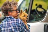 Cmo viajar con mascotas en autocaravana; Consejos para una ruta segura y sin estrs