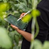 Atos y Venator implementan con xito la plataforma de Huella de Carbono de Producto de Eviden