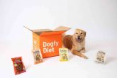 Dogfy Diet ofrece planes de alimentaci�n personalizados para perros, mejorando su salud y bienestar
