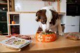 Comida natural para perros a domicilio, la solucin de Dogfy Diet para una alimentacin saludable