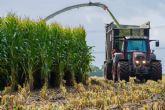 Seguro para maz forrajero; Proteccin clave para la rentabilidad de las explotaciones