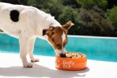 Alimentaci�n natural y equilibrada con probi�ticos naturales para perros, la propuesta de Dogfy Diet
