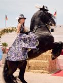 Hats & Horses Menorca celebra su 8a edicin con grandes novedades