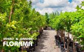 Viveros Florama: tradicin, innovacin y sostenibilidad en jardinera madrilena