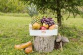 Fruta para empresas y sostenibilidad; la propuesta saludable de Take Fruit