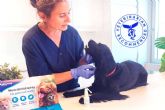 Kalzyme, el spray enzimtico que revoluciona la salud bucodental de los perros
