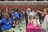 El mejor estilismo canino del mundo llega a Murcia en octubre