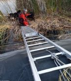 Rescatan a tres perros atrapados en una balsa en Caravaca de la Cruz