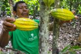 Ecuador se consolida como el destino ideal para los amantes del cacao