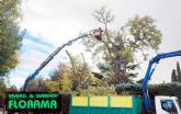Poda segura y en altura con experiencia y equipos certificados con PODAS FLORAMA
