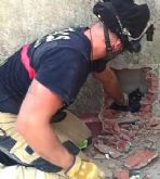 Bomberos rescatan a un gato que haba quedado atrapado en la medianera de dos edificios