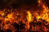 Los incendios en Espana ponen de manifiesto la urgencia de preparar a los profesionales para las crisis medioambientales