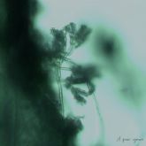 Sabela homenajea a Maruja Mallo en su nuevo sencillo a quen ignora