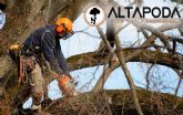 Altapoda: expertos en poda en altura y servicios integrales de arboricultura en la Sierra de Madrid