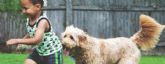 Crecer con un perro impulsa el bienestar integral de los ninos y refuerza su desarrollo emocional