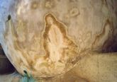 Aparece la silueta de la Virgen en una de las histricas cuevas de Tomelloso