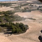 Operativo del Plan Infomur movilizado para apagar un conato de incendio forestal en Jumilla