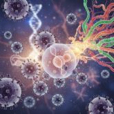 VPH: lo que casi nadie explica sobre el sistema inmunitario y la salud �ntima