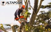 ALTA PODA: Soluciones profesionales de poda y cuidado de árboles en la Sierra de Madrid