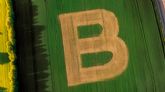 Bonduelle obtiene la certificaci�n B Corp en todas sus operaciones a nivel mundial