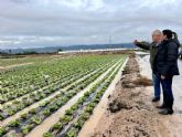 La Consejería cifra en más de 8,8 millones de euros los daños en el campo de Totana tras las lluvias torrenciales de diciembre
