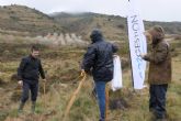 CO2 Gesti�n impulsa la sostenibilidad empresarial a trav�s de la reforestaci�n corporativa en Espana