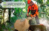La Tierra Jardinería: soluciones expertas para el cuidado y manejo de árboles