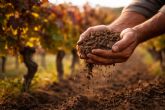 Bodegas Obergo mostrar� la esencia de sus vinos singulares en la Barcelona Wine Week