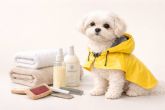 El efecto lluvia y los cuidados necesarios para una óptima higiene y salud del perro