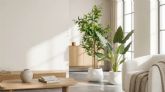 Tendencia: el auge de las plantas artificiales en interiores y exteriores