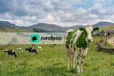Ruralpop, la app líder de compraventa rural tras el cierre de Vacapop