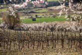 Bodegas Obergo enumera las claves que definen el car�cter de su vino tinto del Somontano
