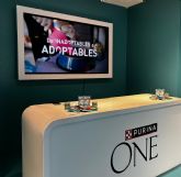 Inadoptables, la nueva campaña de Purina ONE para concienciar sobre cómo los sesgos afectan en la adopción animal