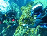 Underwater Gardens International impulsa en Tenerife un piloto de regeneraci�n marina