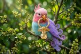 Avistamientos de una nueva especie que habita en las casas; AVICUS CHUPETUS (El Pajarito del Chupete)