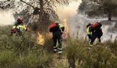 El Gobierno de Espa�a declara zona catastr�fica las 400 hect�reas arrasadas por el fuego en el paraje del Llano Las Cabras, en el Parque Regional de Sierra Espu�a