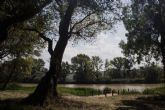 Razones para una escapada rural de primavera