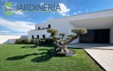Mantenimiento de jardines con La Tierra Jardiner�a: clave para espacios verdes duraderos