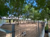 Elegir una residencia para mascotas de Madrid en primavera