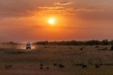 Espana se sit�a entre los principales mercados europeos interesados en safaris